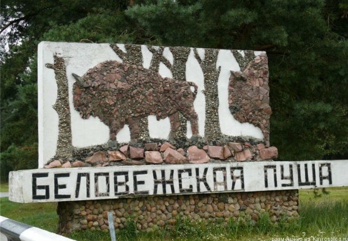 Картинки по запросу Национальный парк "Беловежская пуща"