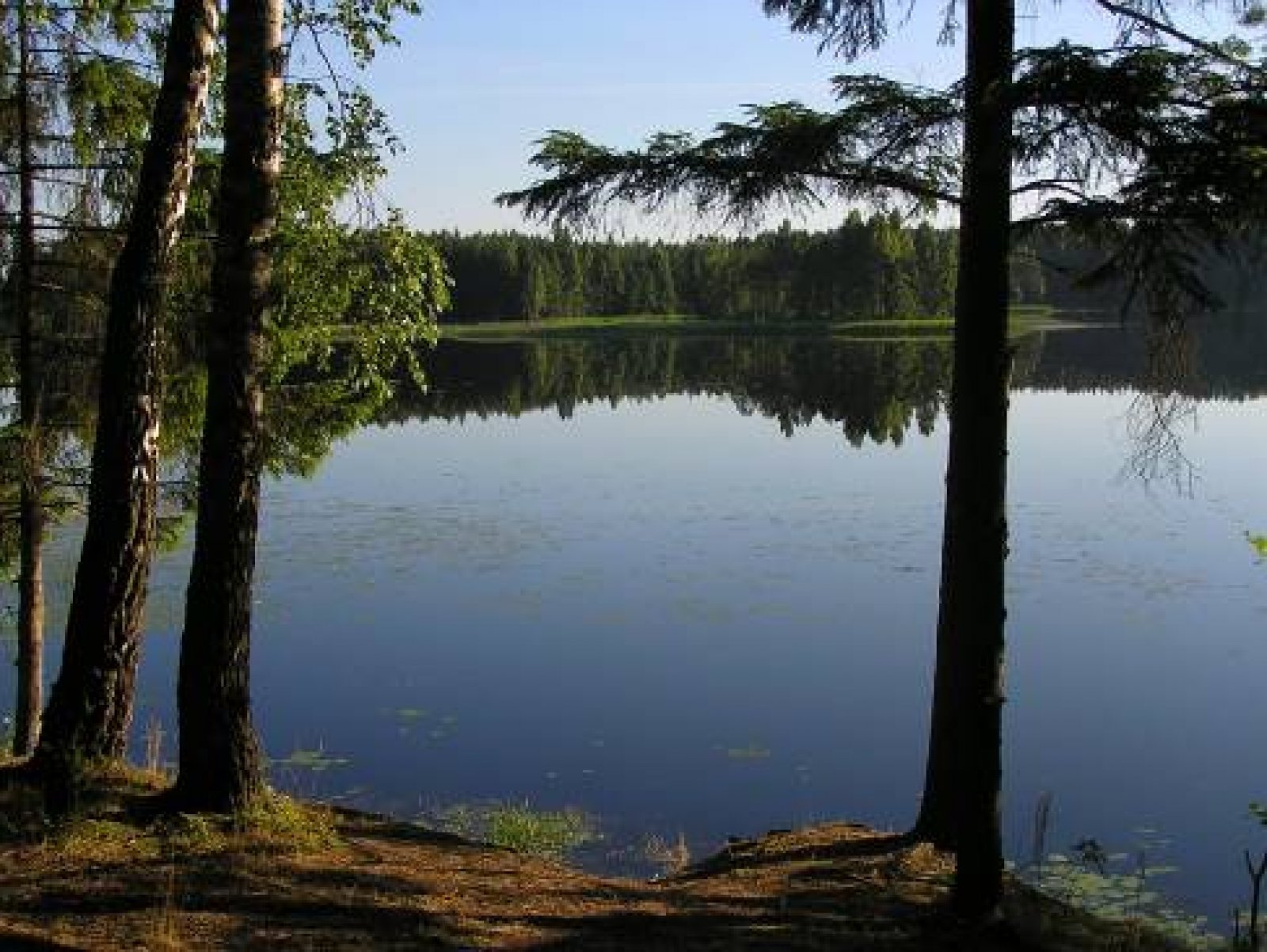 Картинки по запросу Национальный парк "Браславские озера"